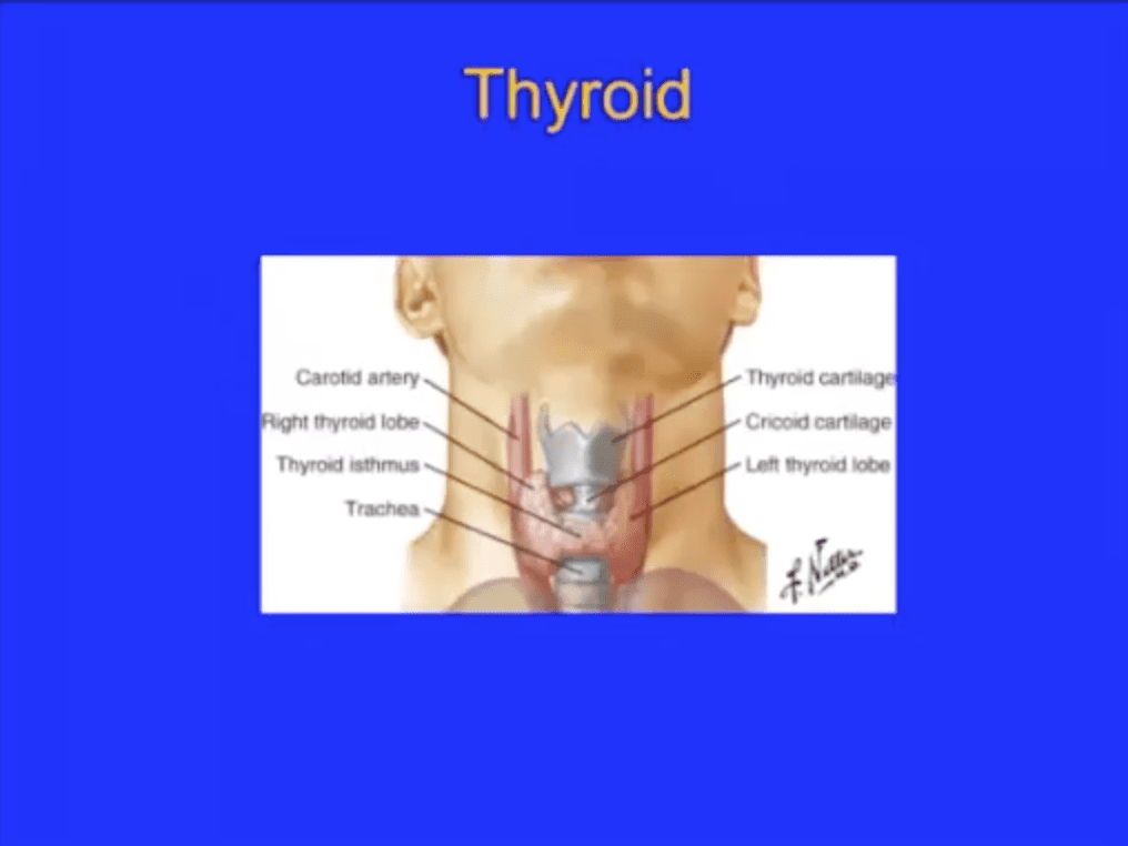 Nuances of Hypothyroidism